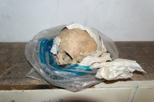 Lebka v pivnici na ul. 17. novembra