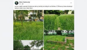 Fotograf Viktor Zamborský nafotil sídliskovú trávu