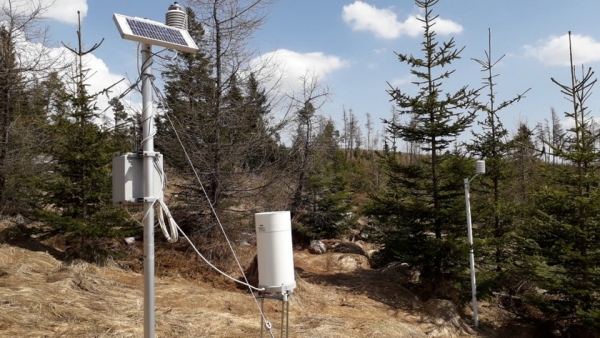 Automatická meteorologická stanica zameraná na sledovanie klímy na pokalamitnej ploche vo Vysokých Tatrách – juh, Rakytovské plieska (1260 m n.m.)